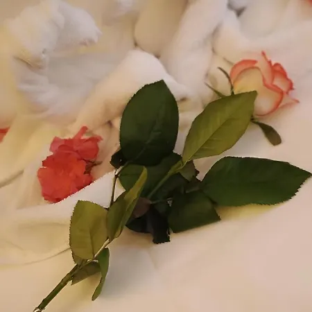 Dcboutiquehotel מלון רומא